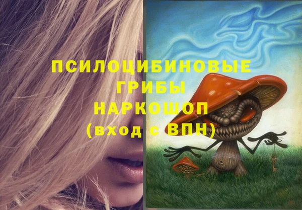 СК Горнозаводск