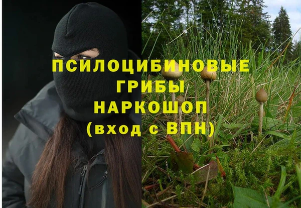 СК Горнозаводск