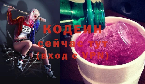 СК Горнозаводск