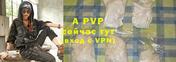СК Горнозаводск
