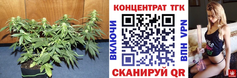 ТГК THC oil  Купить закладки  Кяхта 