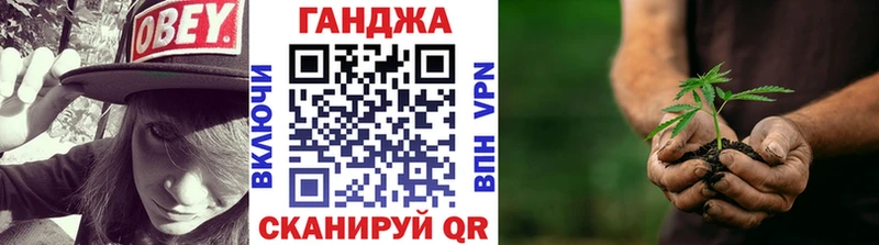 Купить закладки  Кяхта  Бошки Шишки семена 